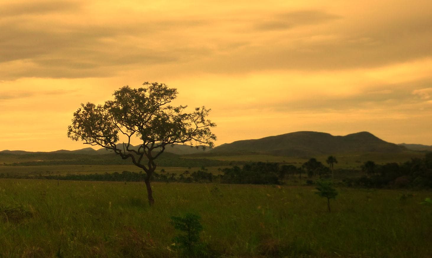 Alto Paraíso de Goiás, Brasil